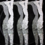 A saucerful of secrets-2009 mixed media on canvas cm.100x100x4