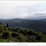 The castle of Ripa d'Orcia 2012 size 120x40 cm.