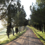 Strada di campagna a Lucignano